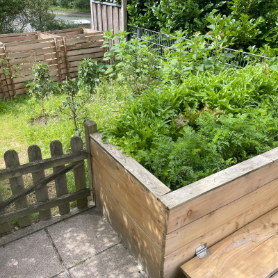 Unser Hochbeet im Sommer